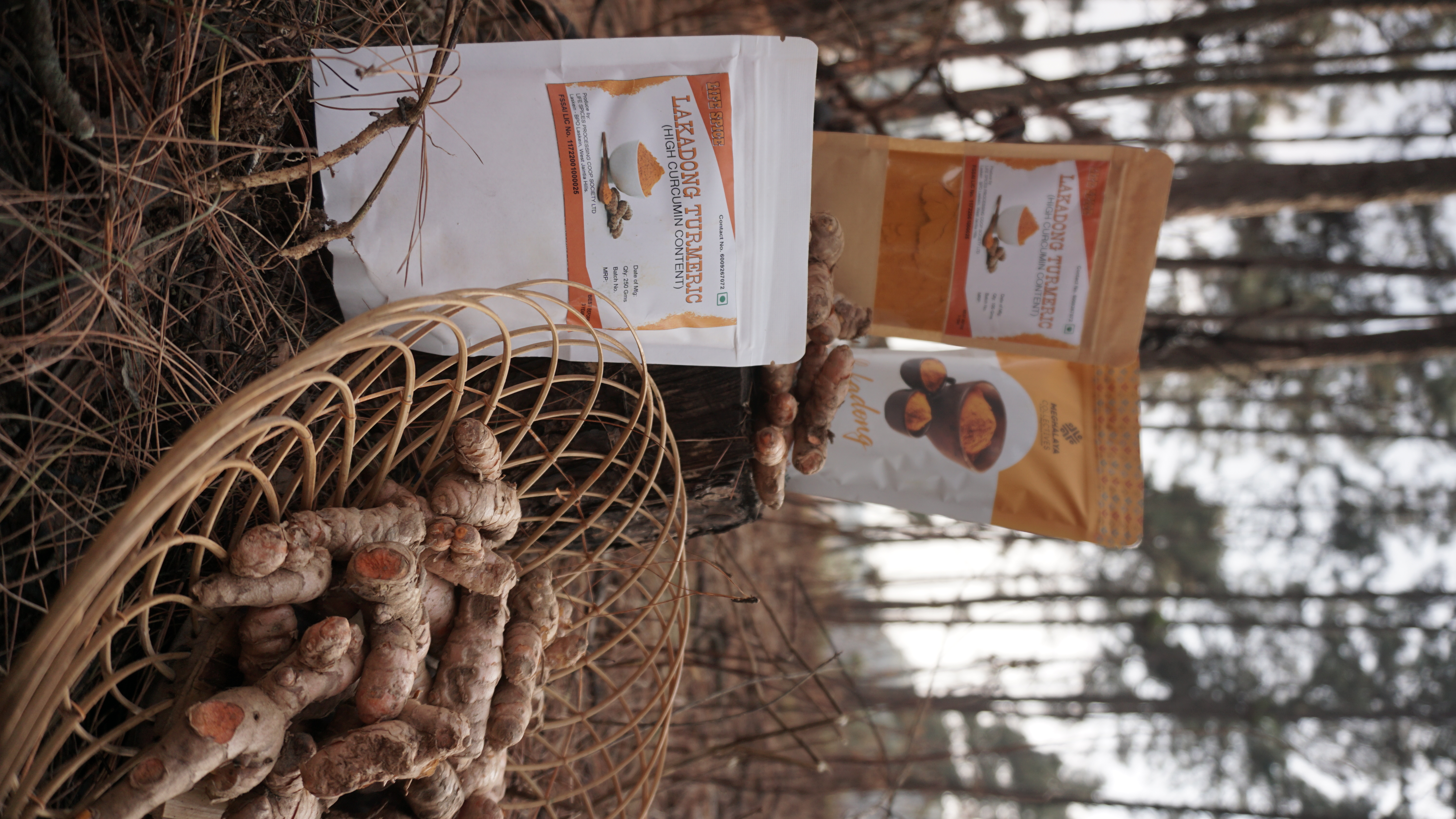Life Spices Photo 29